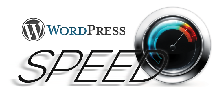 Acelerar wordpress